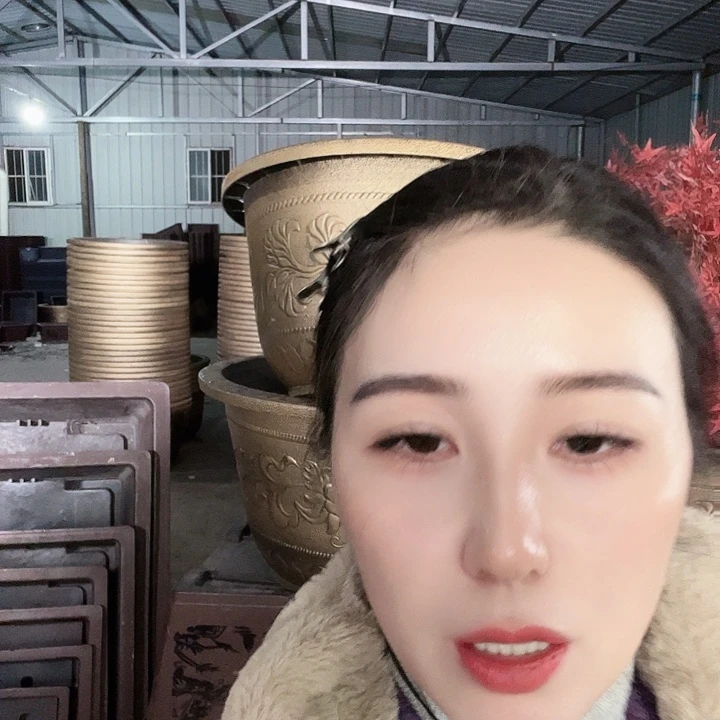 圆60口径花盆一个