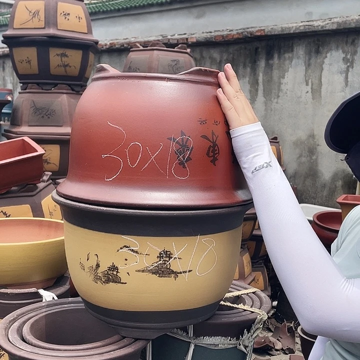 30紫气东来+003花盆花盆花盆