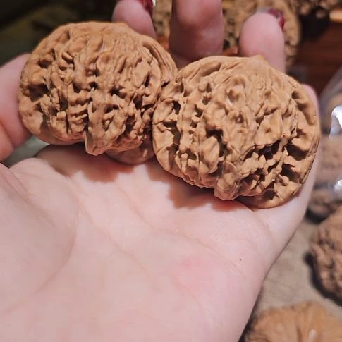 牙***？吊坠文玩核桃44狮虎兽