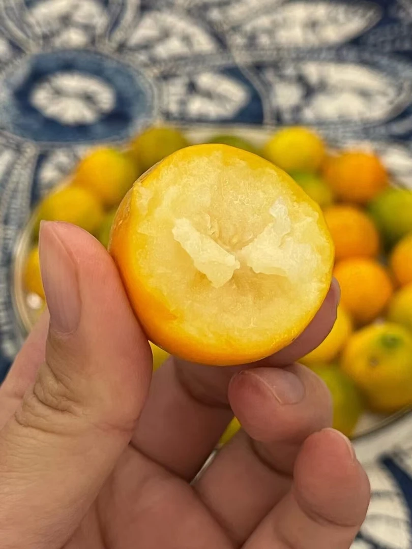 【顺丰包邮】脆皮金桔纯甜