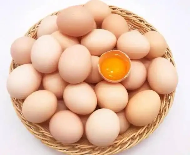 鱼塘边圈养土鸡蛋50枚京东包邮