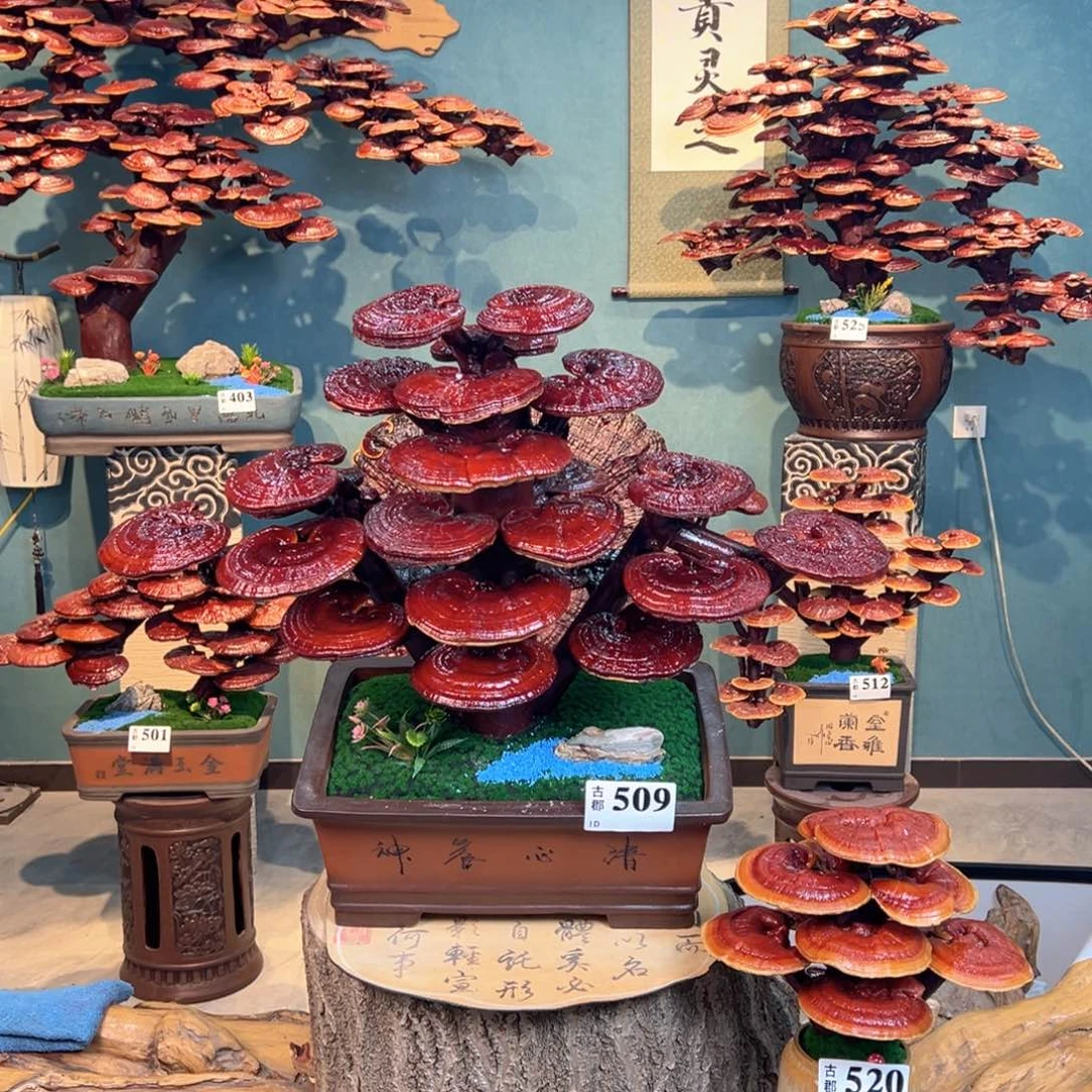 笑***酒无花朵868888888888