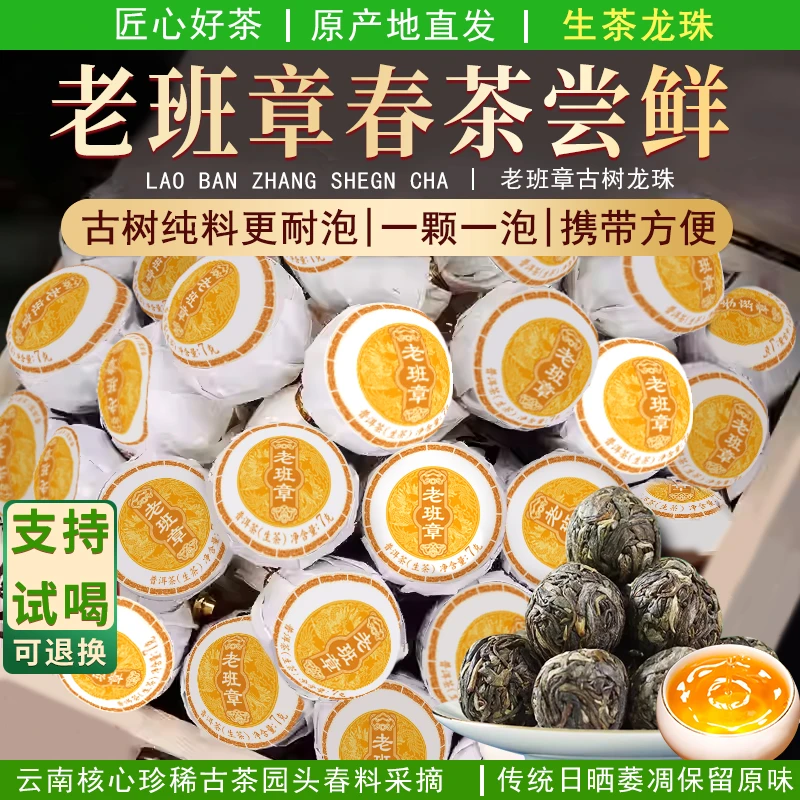「源头直发」粉丝专属 100颗 2024年 老班章龙珠普洱生茶 7g±
