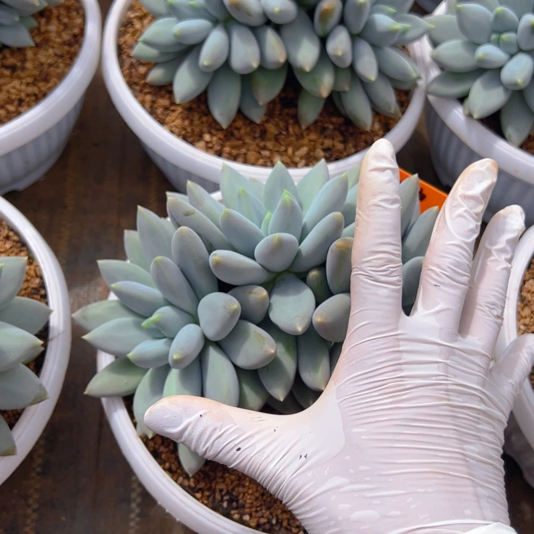 1051111111111111111111