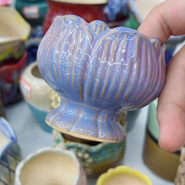 多肉植物陶瓷花盆