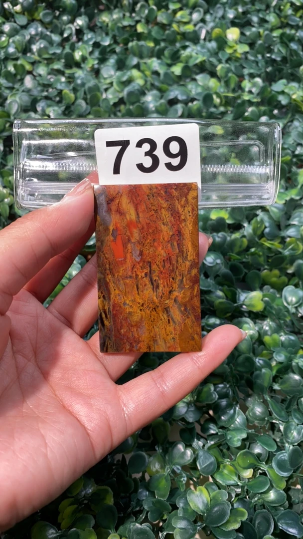 天然北票硅化玉牌子长:64mm宽:39mm厚:6mm