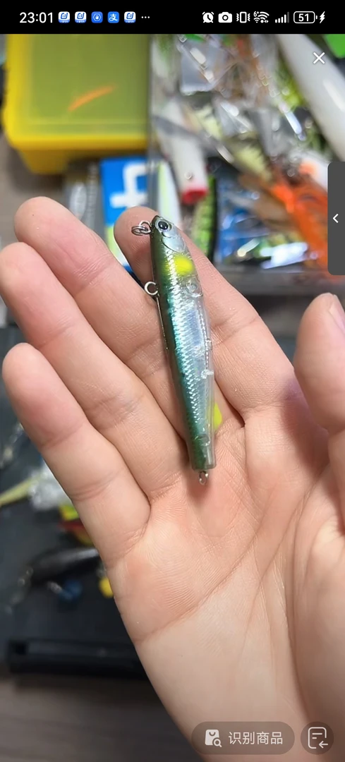 20250303-18  路亚饵