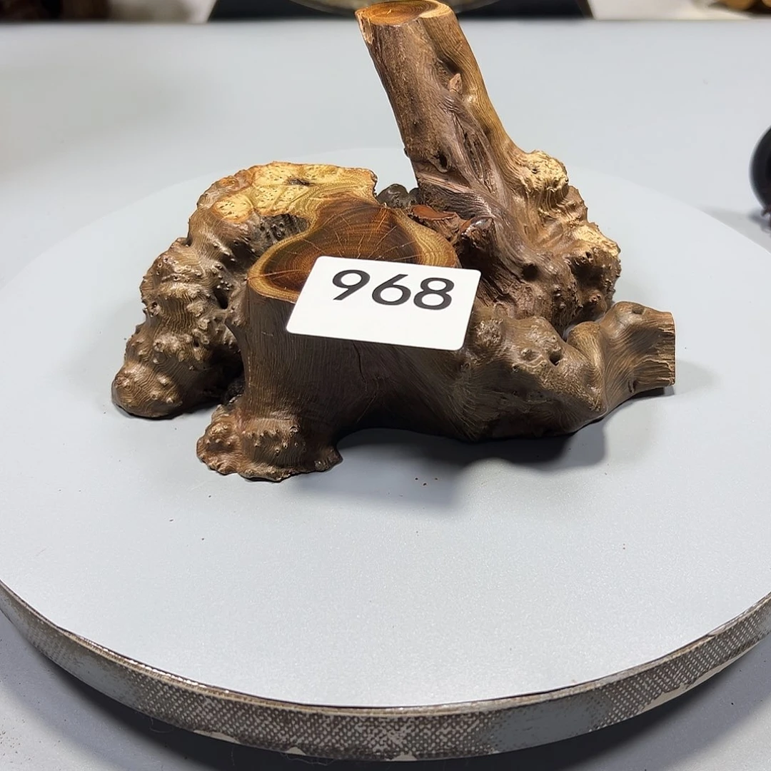 大果紫檀（缅甸花梨）?*