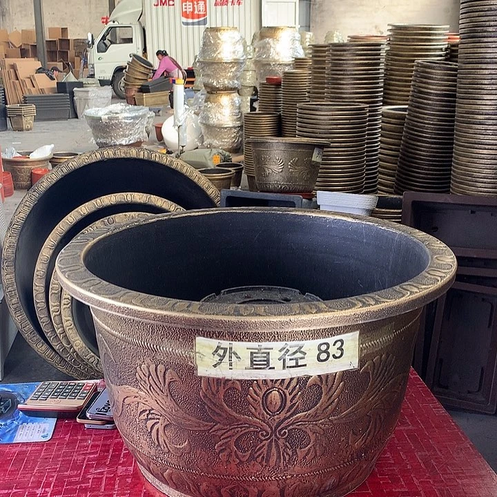 复合贺*优惠活动