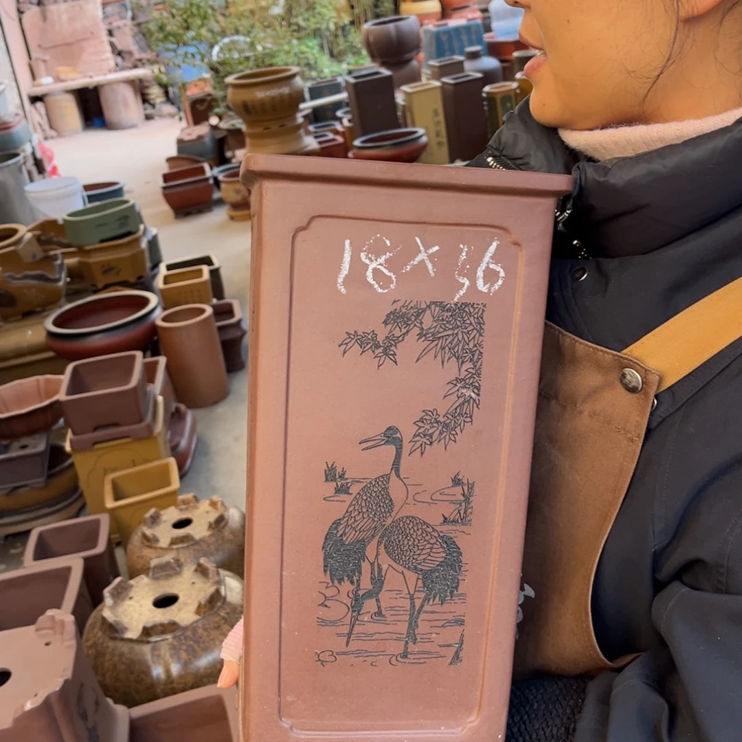 花盆紫砂盆景艺术