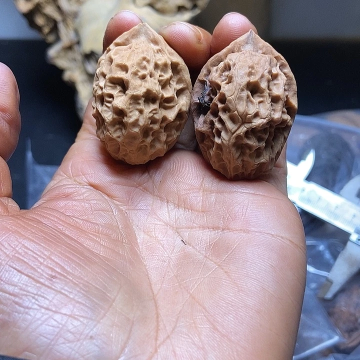 把件文玩核桃云南铁核桃基地67