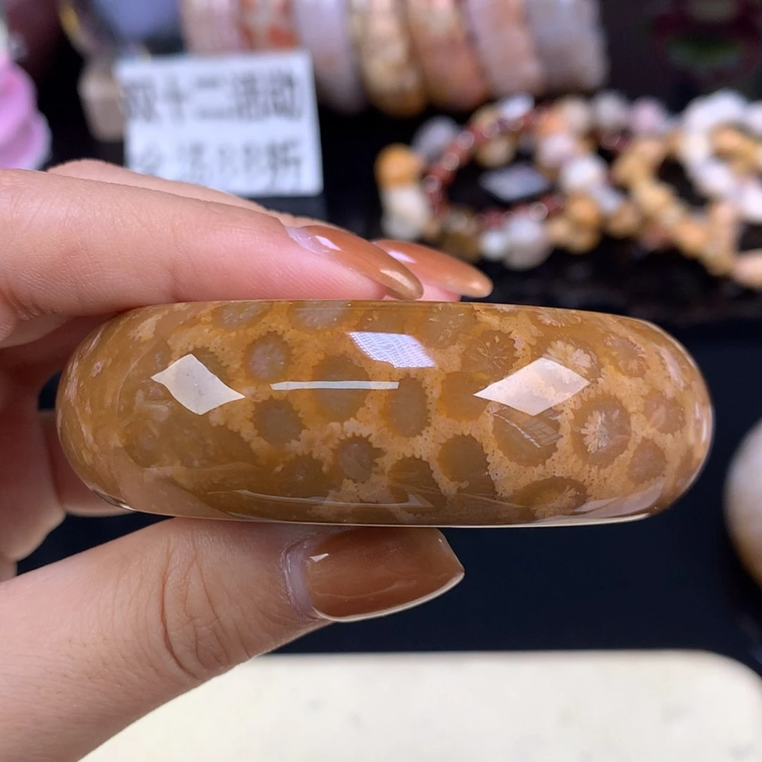 【闪购商品】颈饰未镶嵌硅化珊瑚（珊瑚玉）上新镯饼可做58以下（1号）