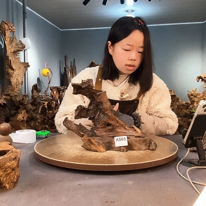 茶盏赛****心565株木随行的小根艺
