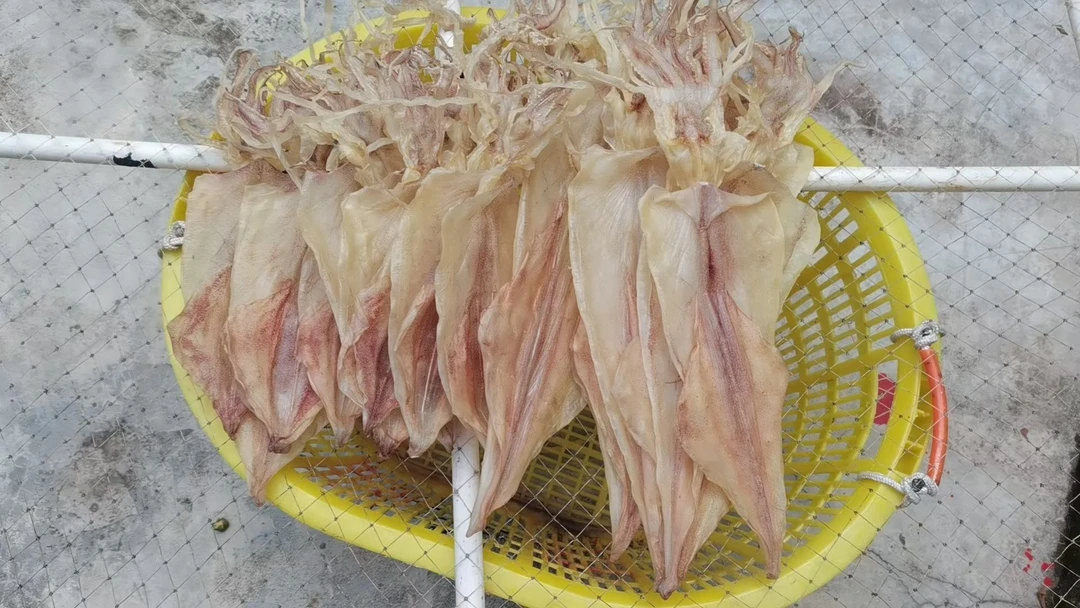 土鱿鱼 烧烤芥末鱿鱼干 炒菜 煲汤 烧烤 下饭菜