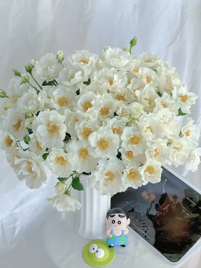 【花汀私享】婚纱-稀有多头玫瑰(注意带包装醒花哦~)