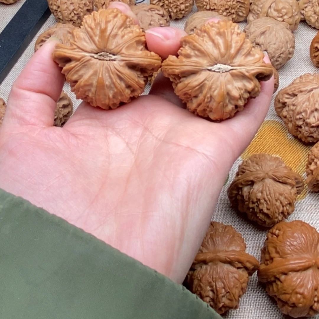 d***？文玩核桃把件白狮子