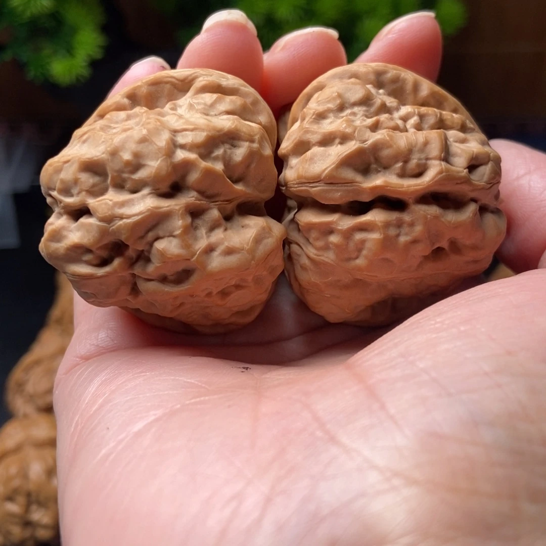 纸***装把件文玩核桃蛤蟆头