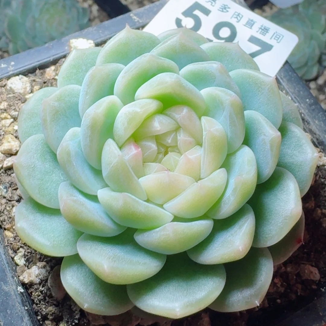 泼天财富      愿你一路坦途，乘风破浪展宏图