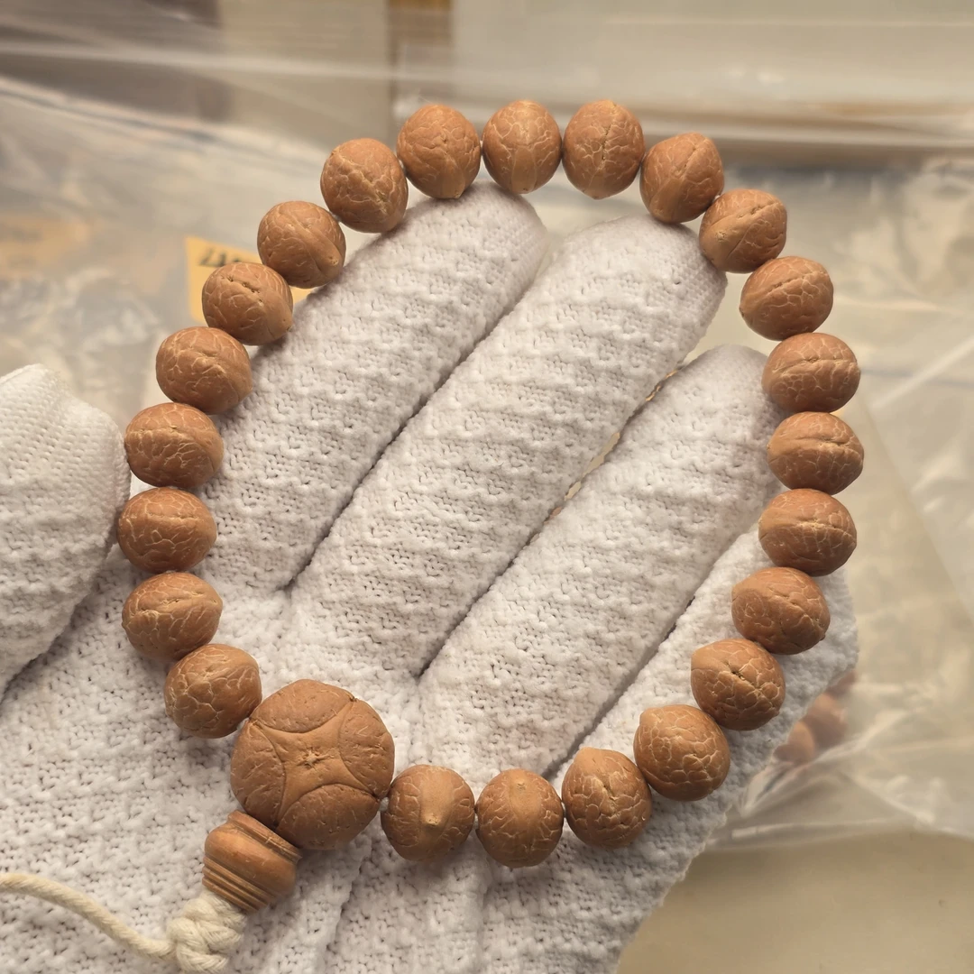 尼泊尔实心凤眼菩提-Tm飞碟实心系列-尺寸11.7-11.9-货号t12