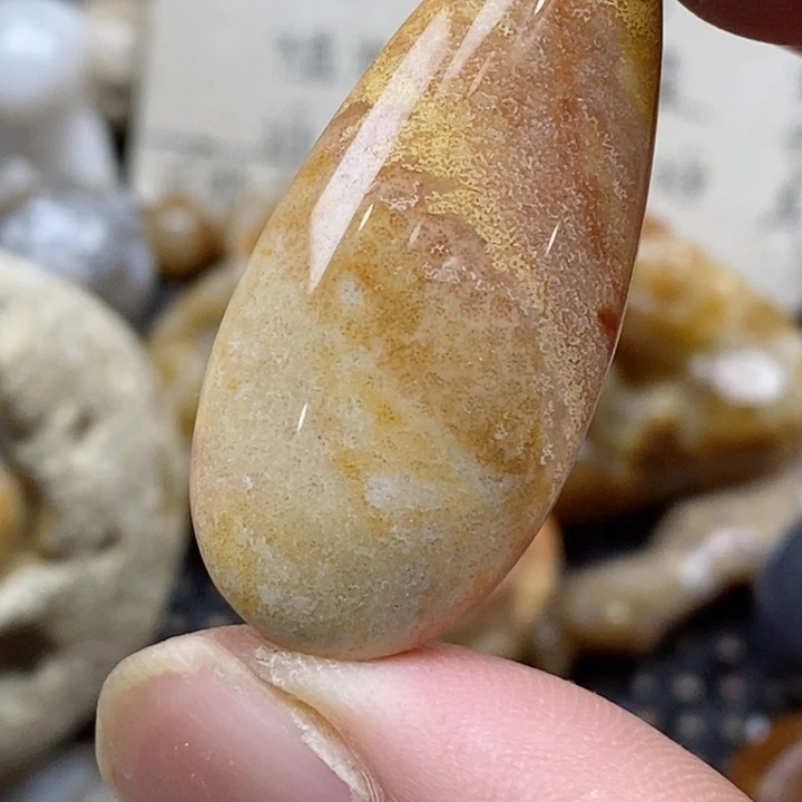 颈饰未镶嵌硅化珊瑚（珊瑚玉）胖*小