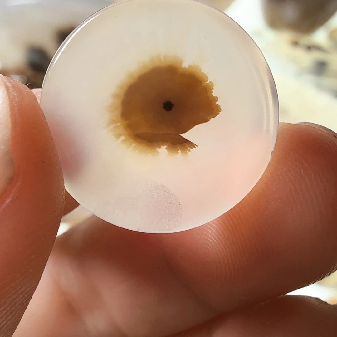 玛瑙/玉髓未镶嵌珠宝半成品