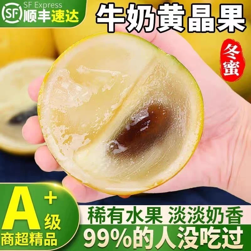 广西新鲜牛奶黄晶果当季高端黄金果清甜爽口果冻丝滑顺丰包邮