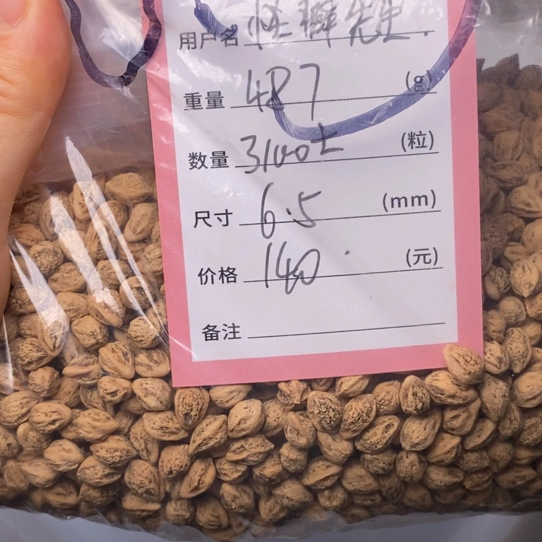 怪***生柏香籽/百香籽吊坠