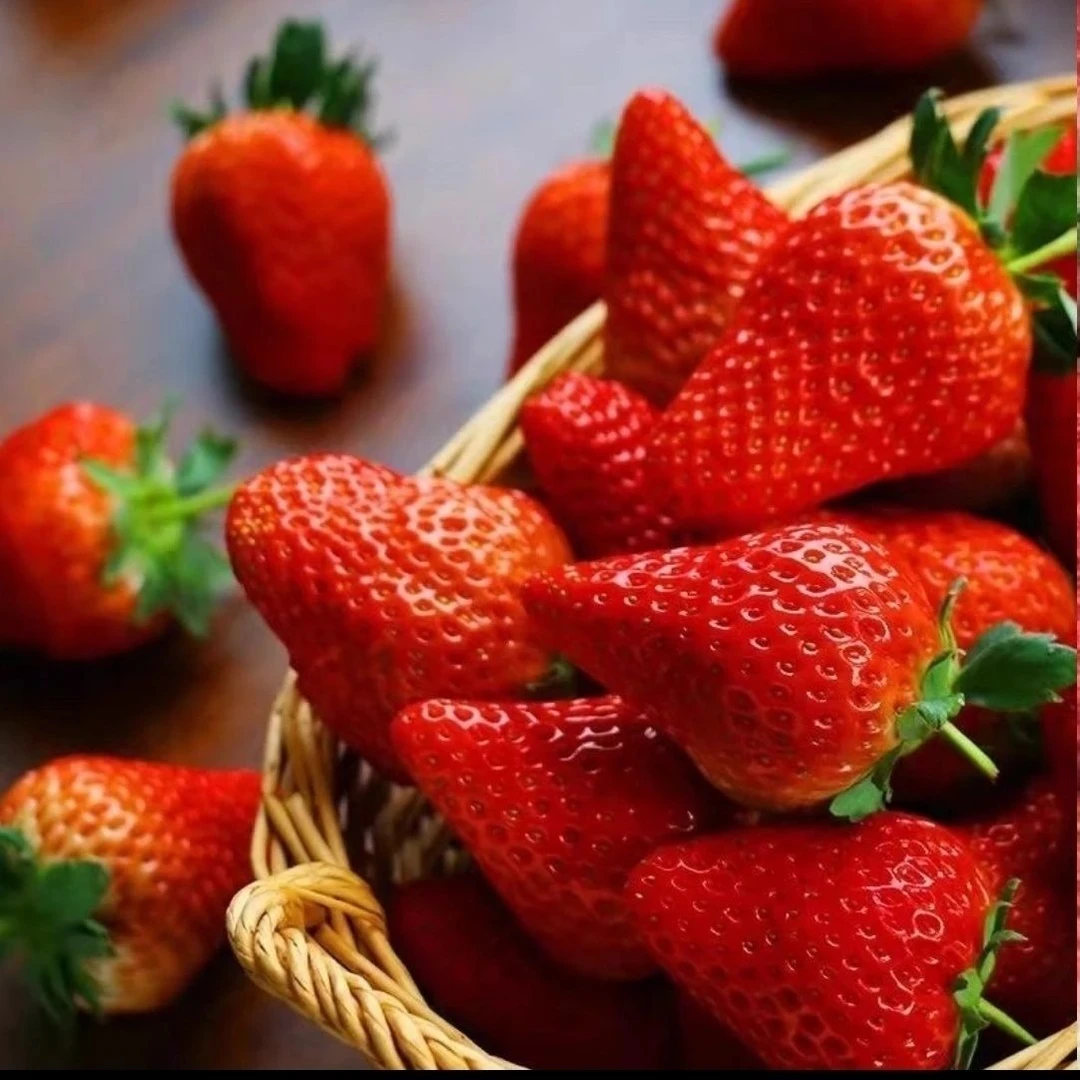 头茬甜查理草莓新鲜现摘现发顺丰包邮香甜浓郁