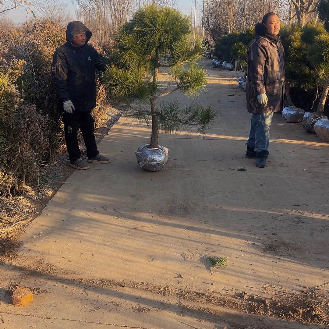 一**茶88888888888888