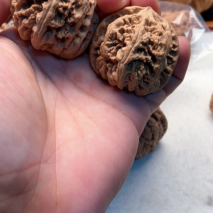 【闪购商品】宝***宋40大粗筋一对特价包邮