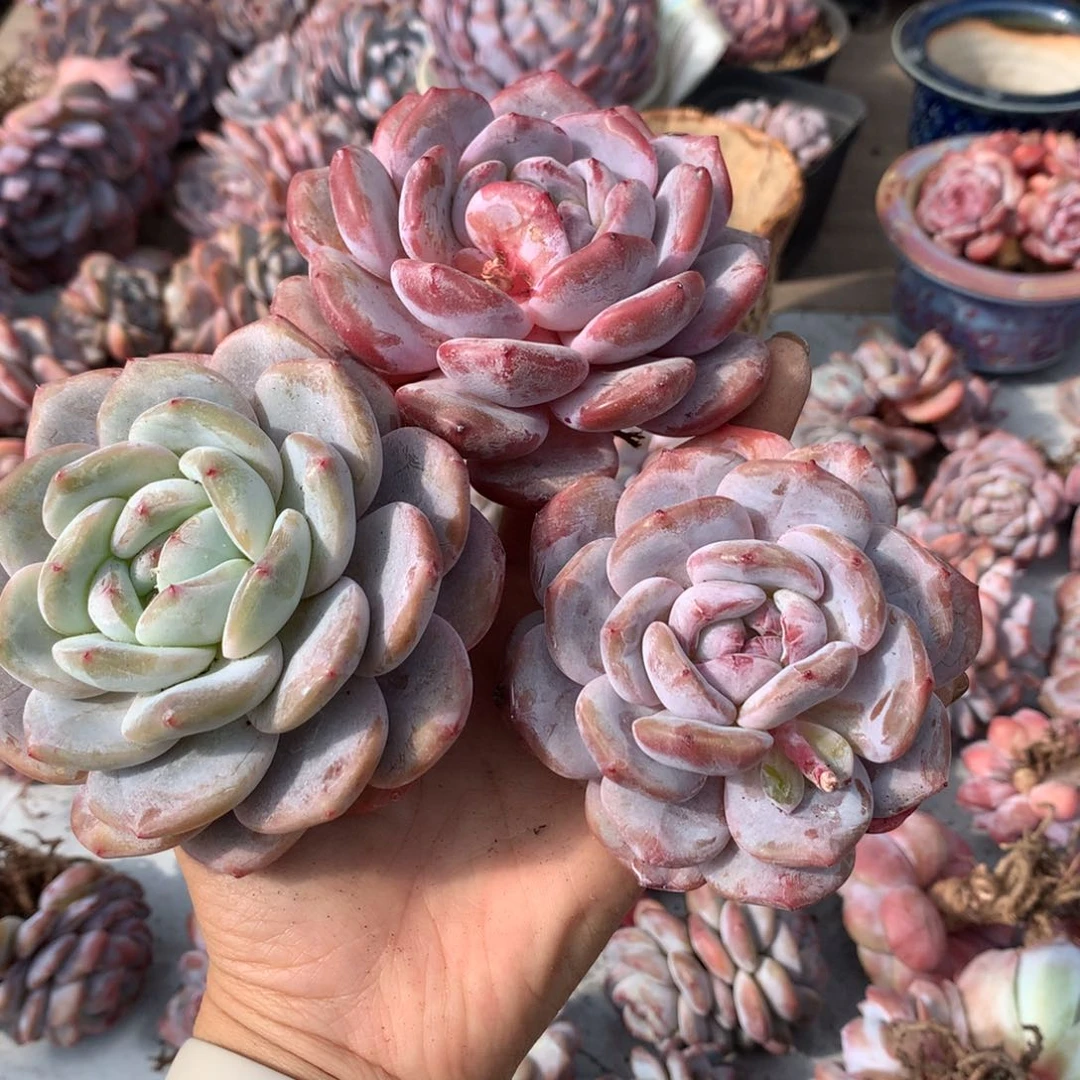 哈哈哈哈哈哈哈哈哈哈哈