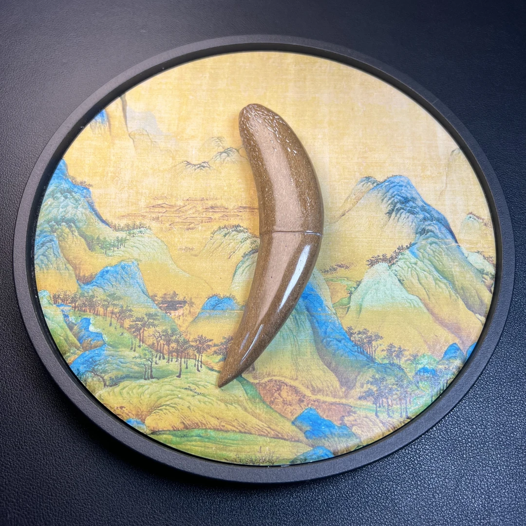 主播推荐 剑齿（山君） 手串  工艺品