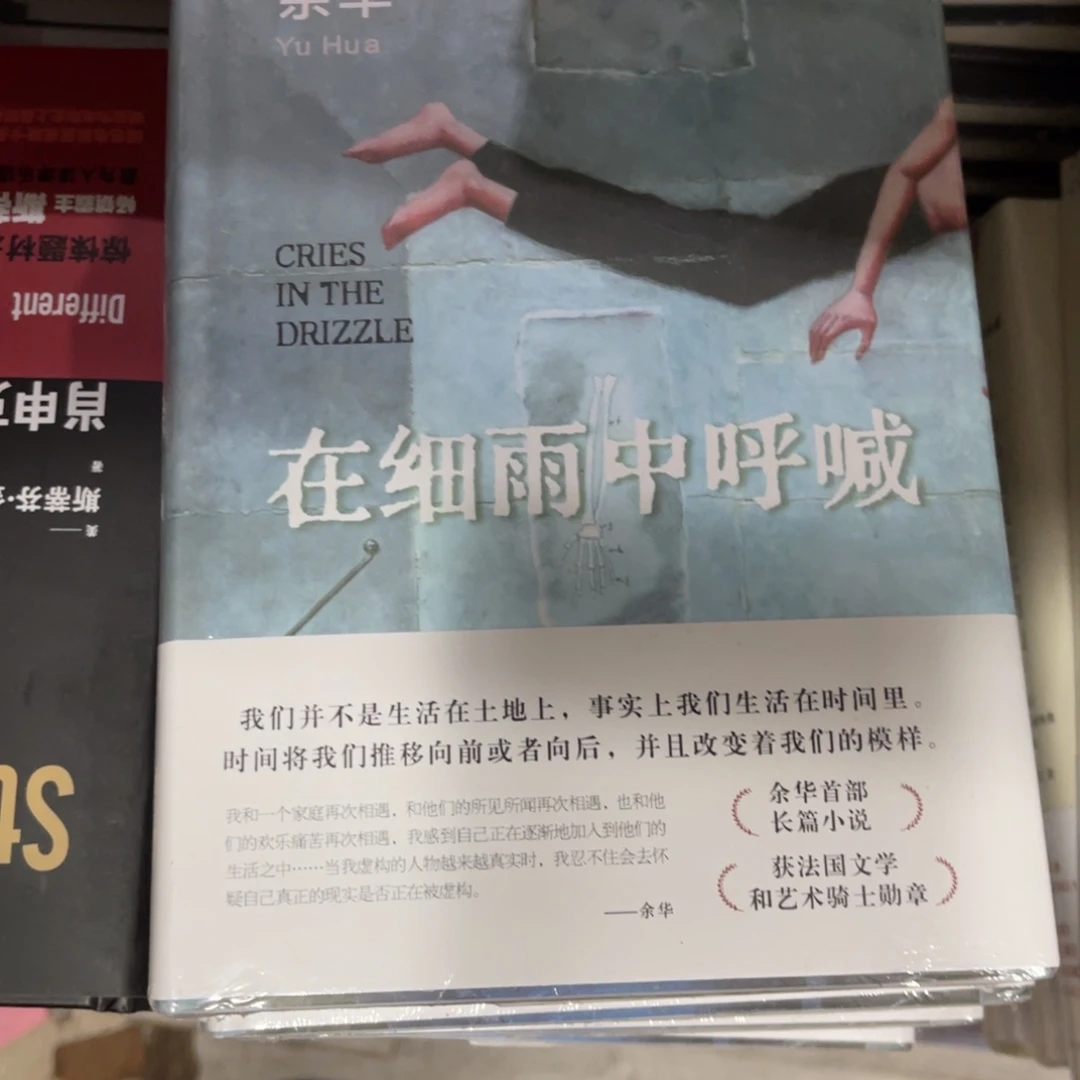 在细雨中呼喊精装一个