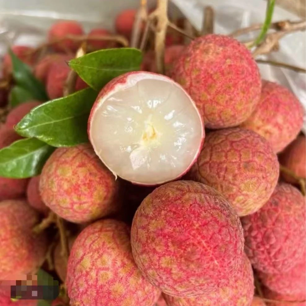 乌叶荔枝福建 皮薄软糯奶香新鲜水果福建黑叶荔枝非白糖罂妃子笑