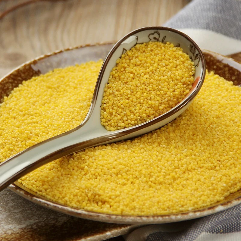 湘西农家种植小米