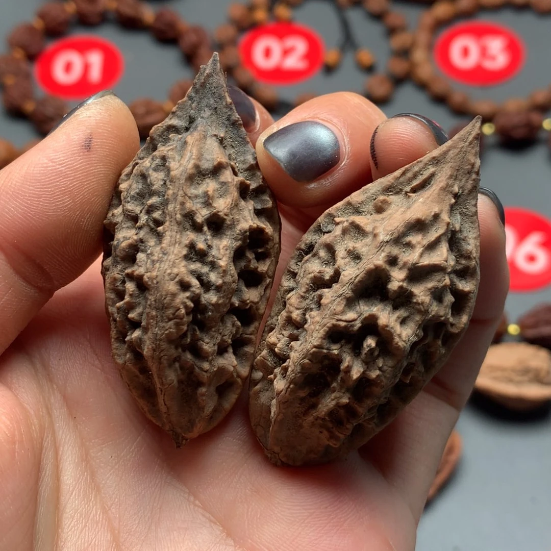 核桃30东北秋子柳叶虚尖