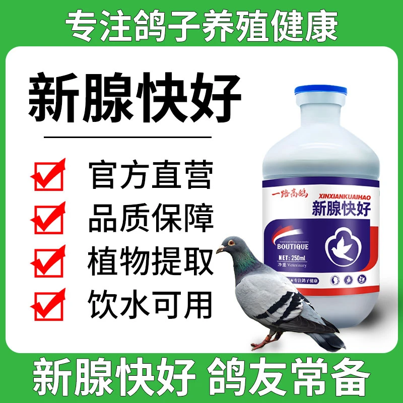 新腺快好适用于鸽子拌料饮水营养健康纯植物提取正品保障