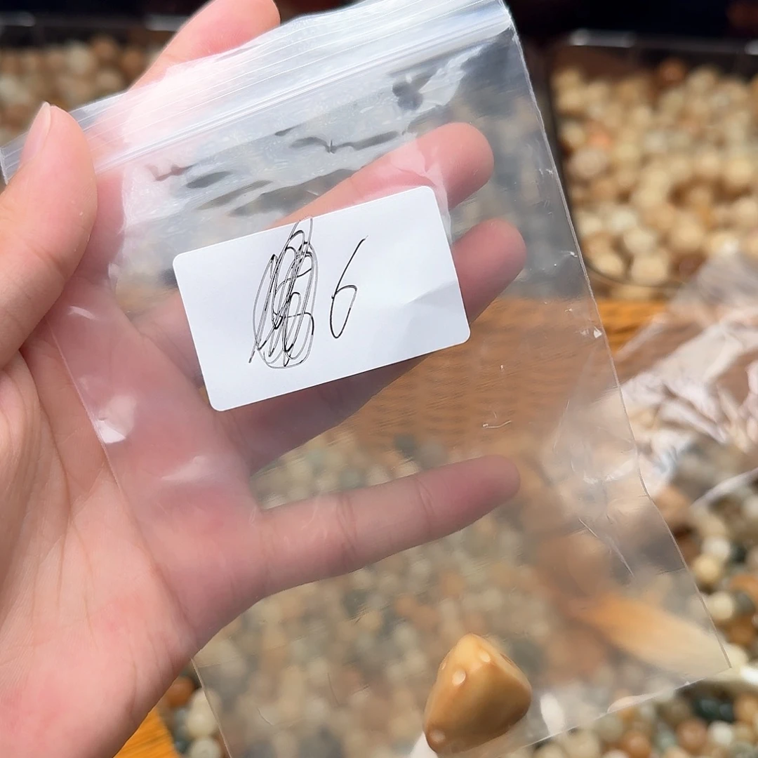 菩提根/象牙果吊坠6号