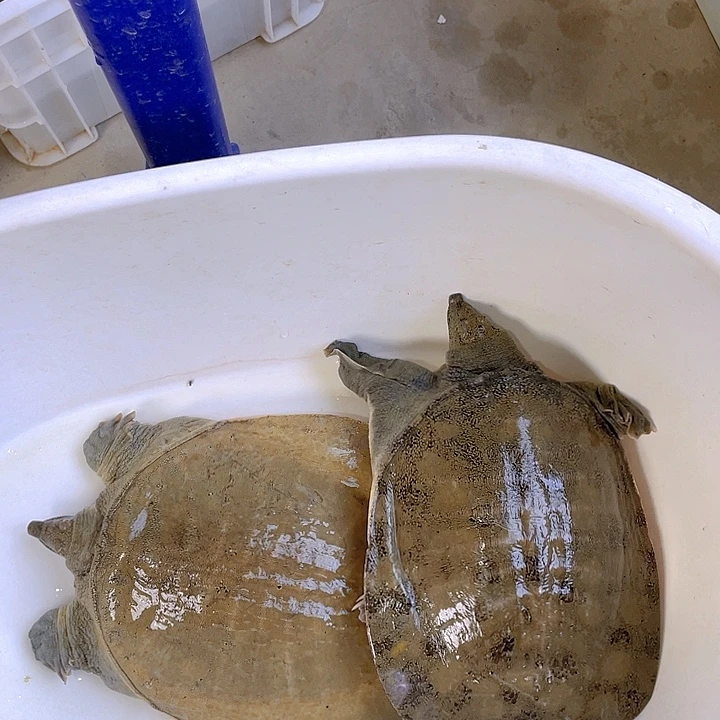 中国大陆福利特价促销不退换