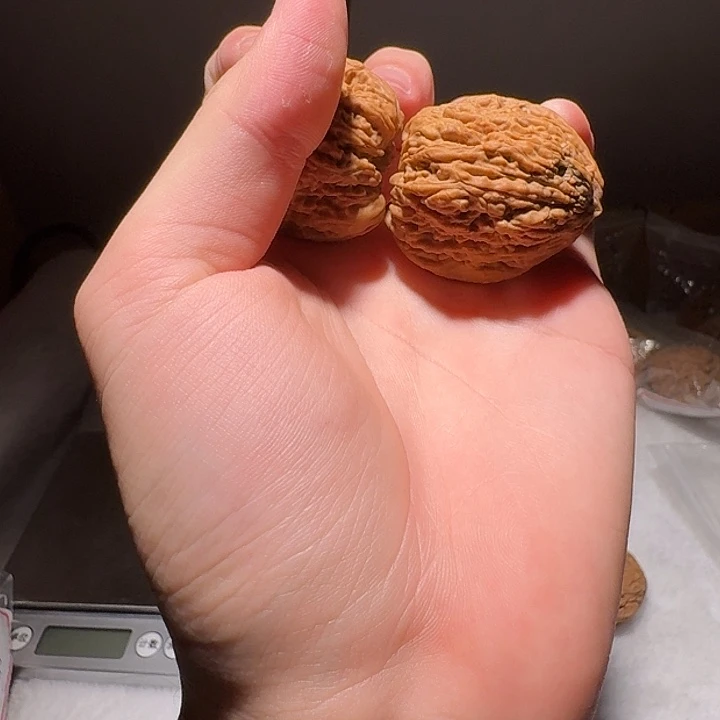 文玩核桃吊坠野生南疆