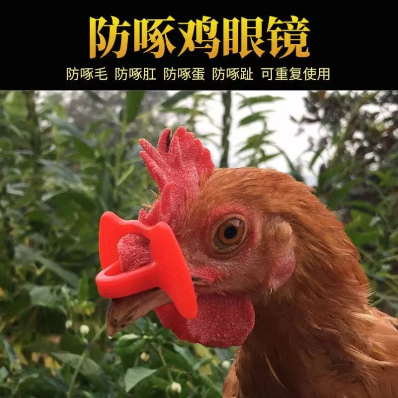 鸡眼镜防啄打架通用鸡用眼镜鸡眼镜眼罩防打架带孔土鸡公鸡眼罩