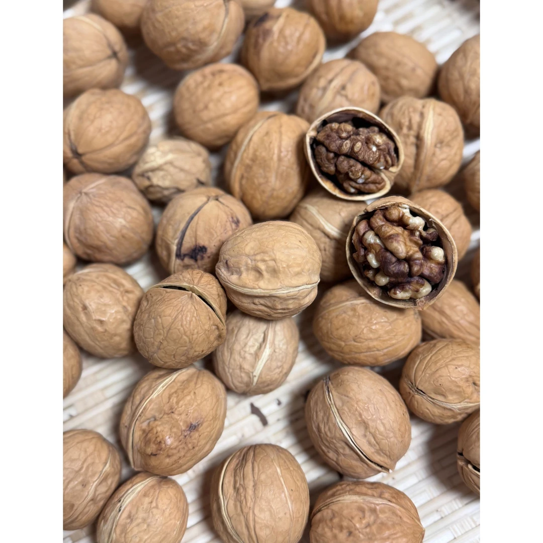 新疆熟带壳核桃6斤2箱