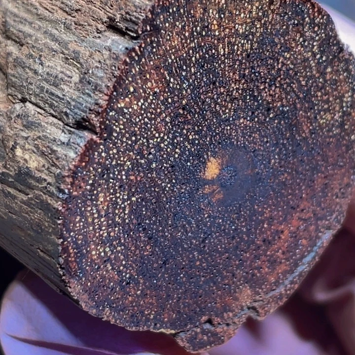 手串/手链降真香定制缅甸小叶降真香