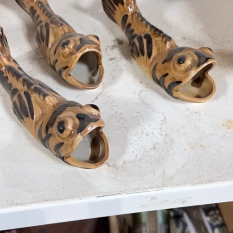 栩*茶宠的故事就这么简单