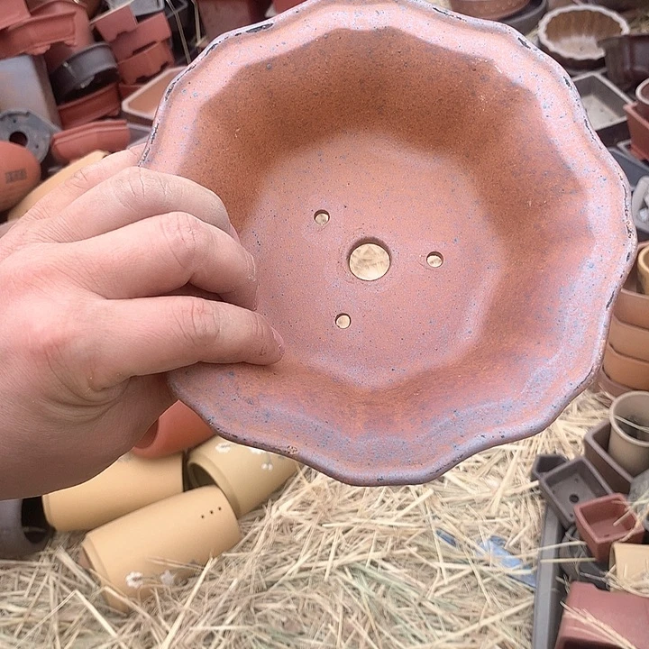 紫砂没有那么重要的人在我们