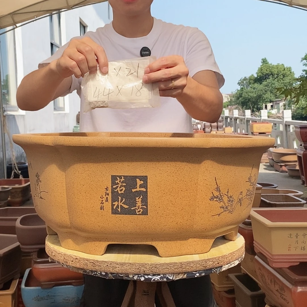 紫砂花盆紫砂花盆