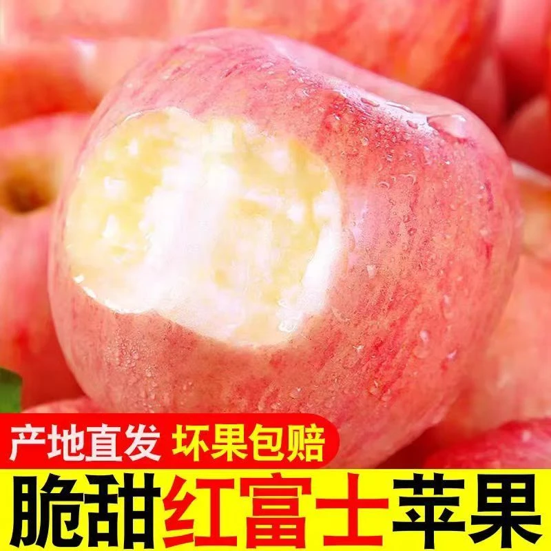 甘肃现摘新鲜红富士苹果应季脆甜水果10斤