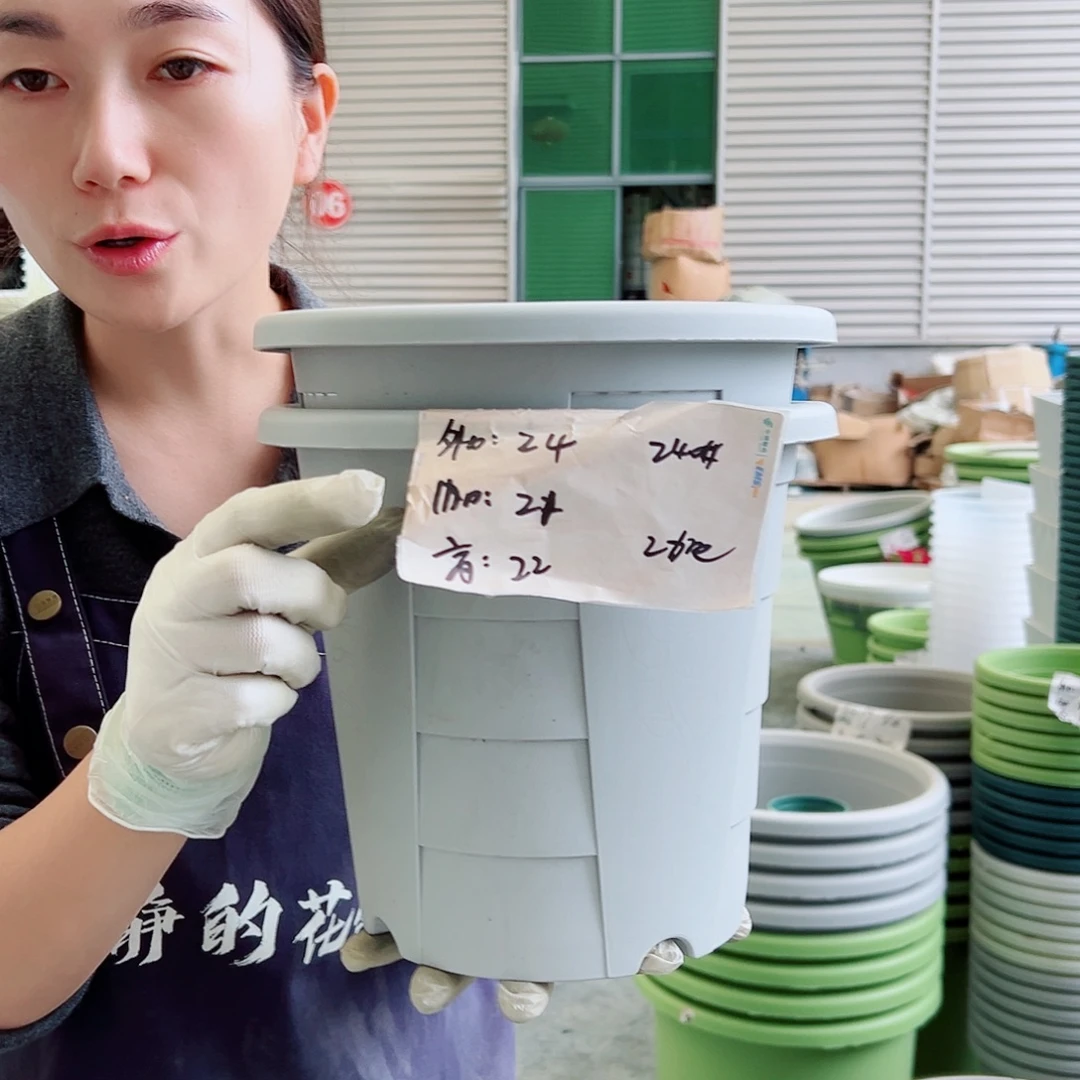 玫瑰盆240#灰白5个无托