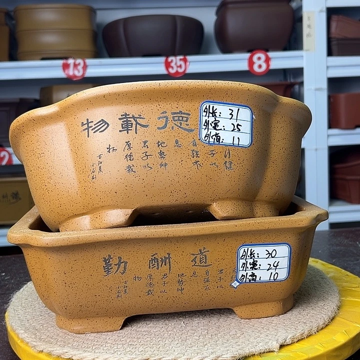 紫砂花盆蛇年大吉