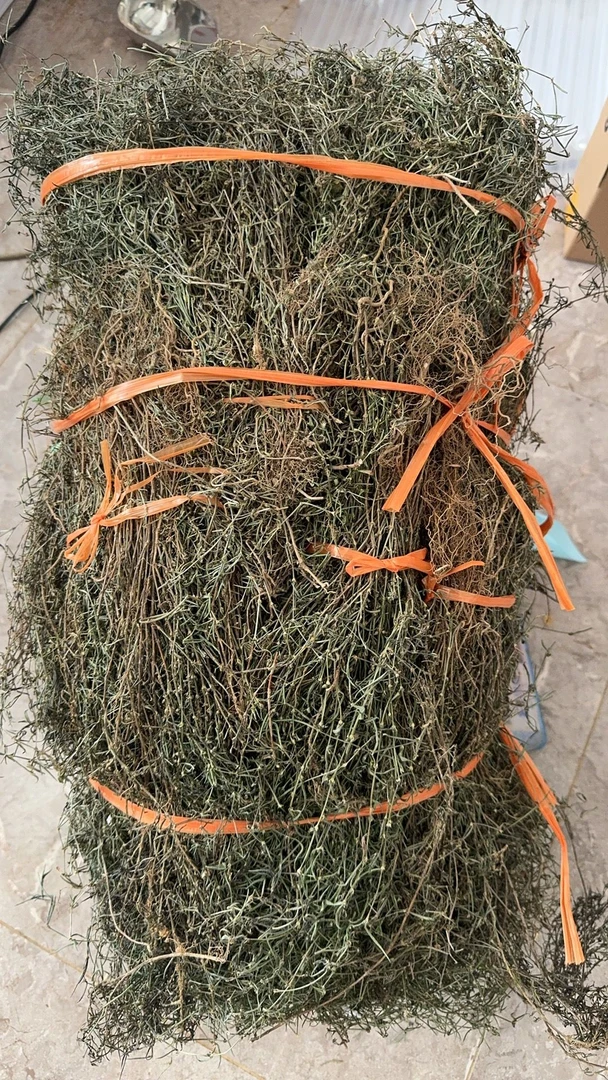 云南山货集市现收【白花蛇舌草】